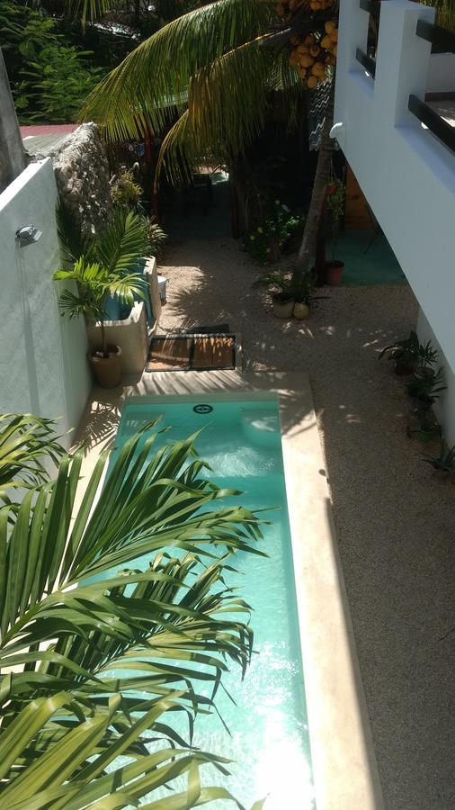Casa Che Tulum Bed and Breakfast Eksteriør billede